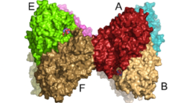 Featured image of post 生物化学实验（甲）