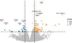 Featured image of post GEO转录本分析